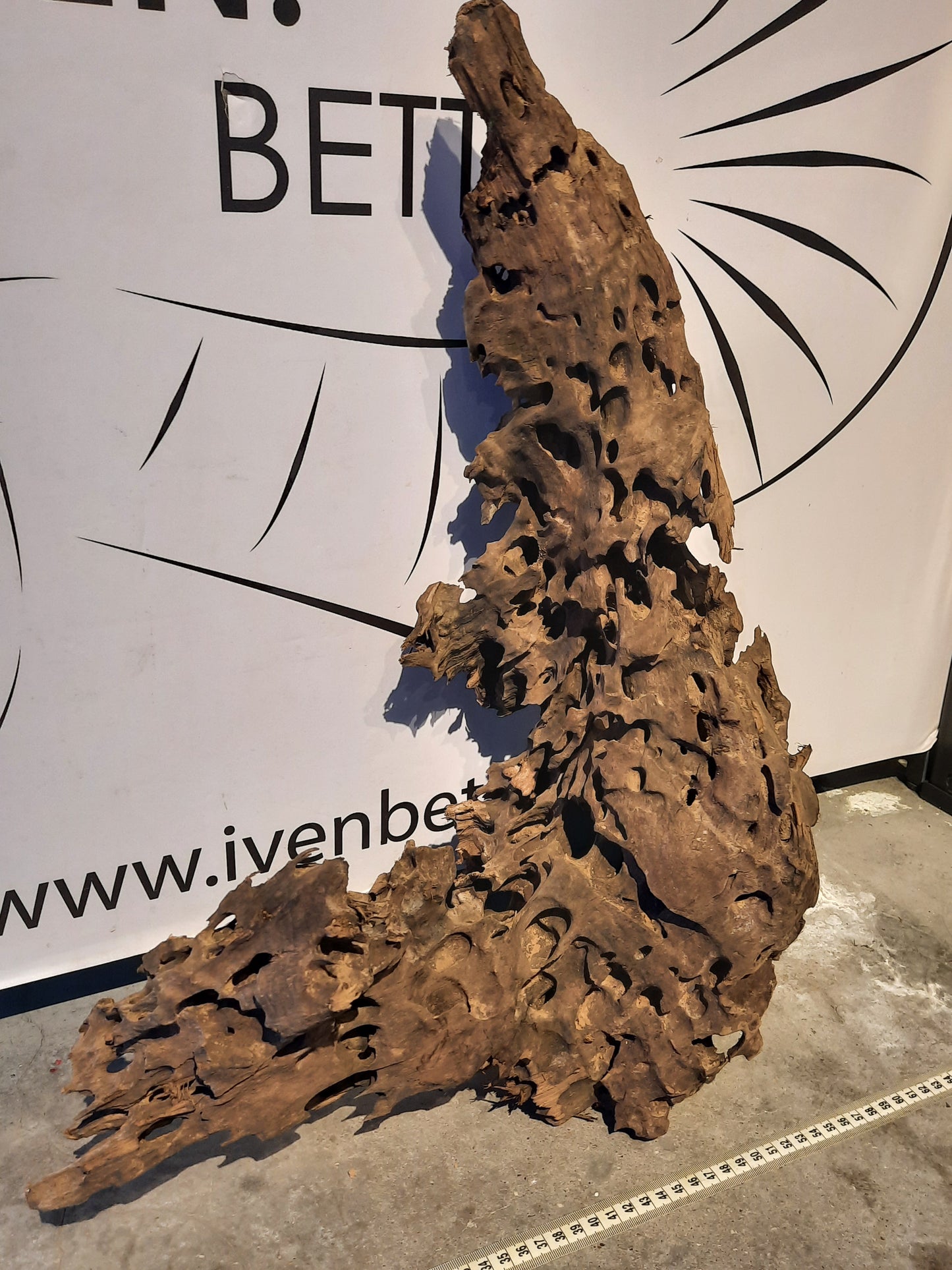 Malaysian Driftwood 'A'