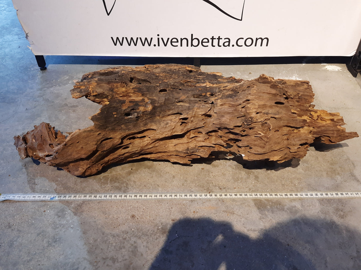 Malaysian Driftwood 'B'