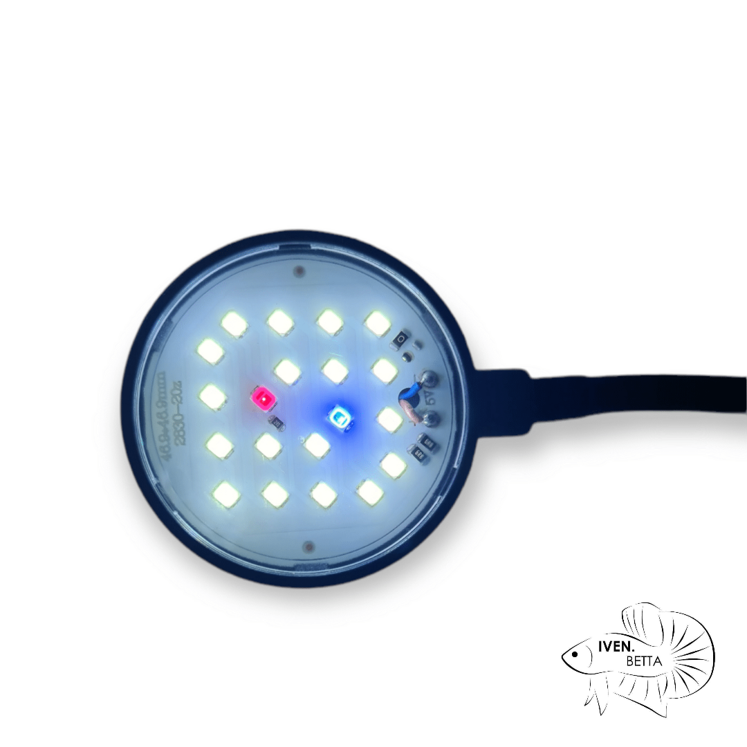 COCO Mini Clip Led Lamp JY-25