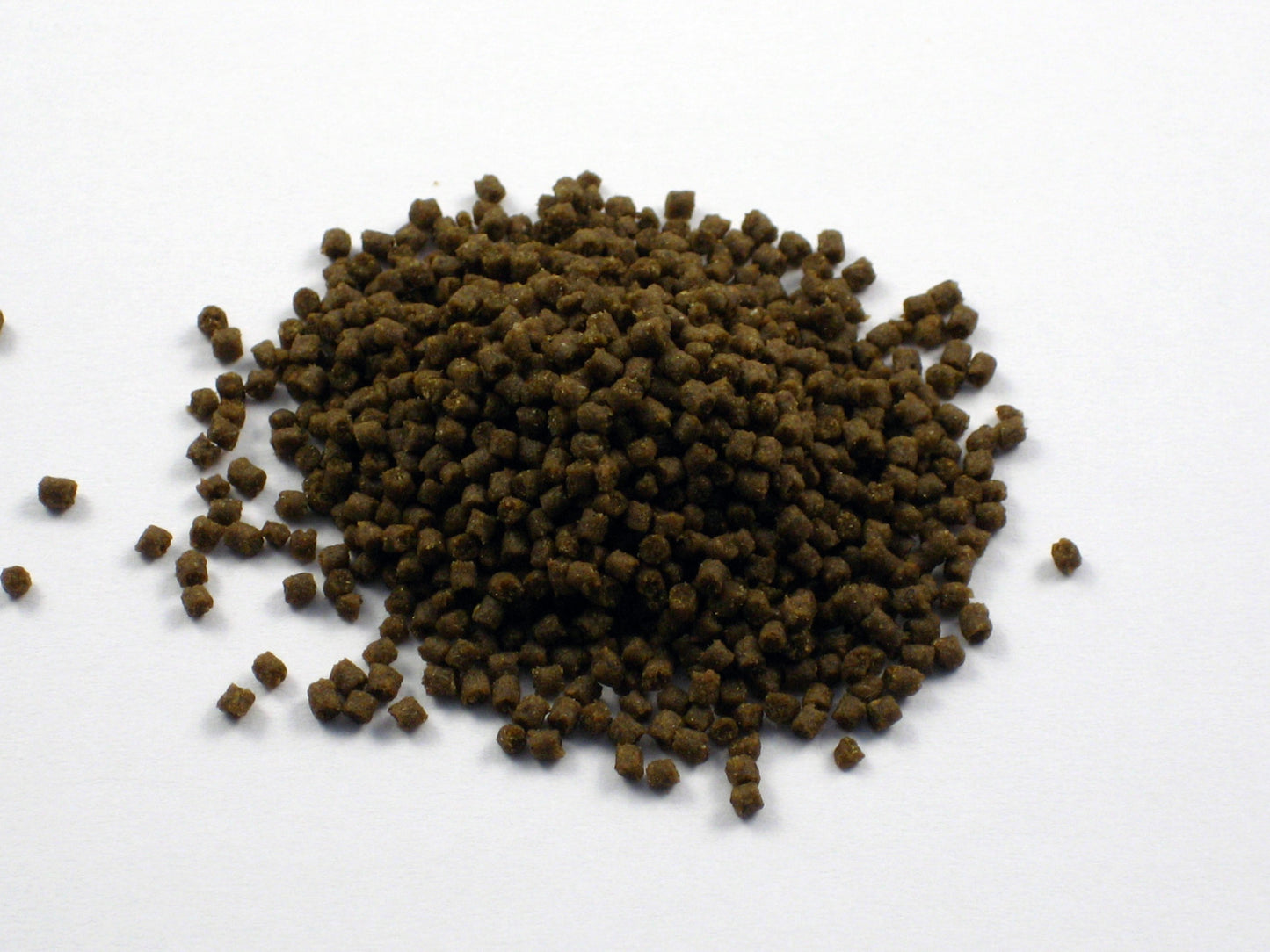 Aquarium Münster Dr. Bassleer - Garlic