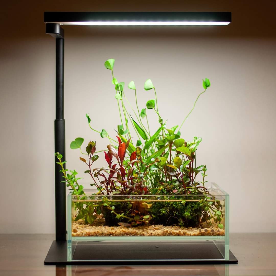 Chihiros CII Series Desktop Base Stand