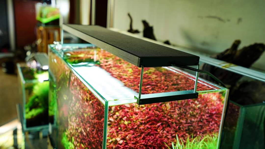 Chihiros WRGBII Series LED Light