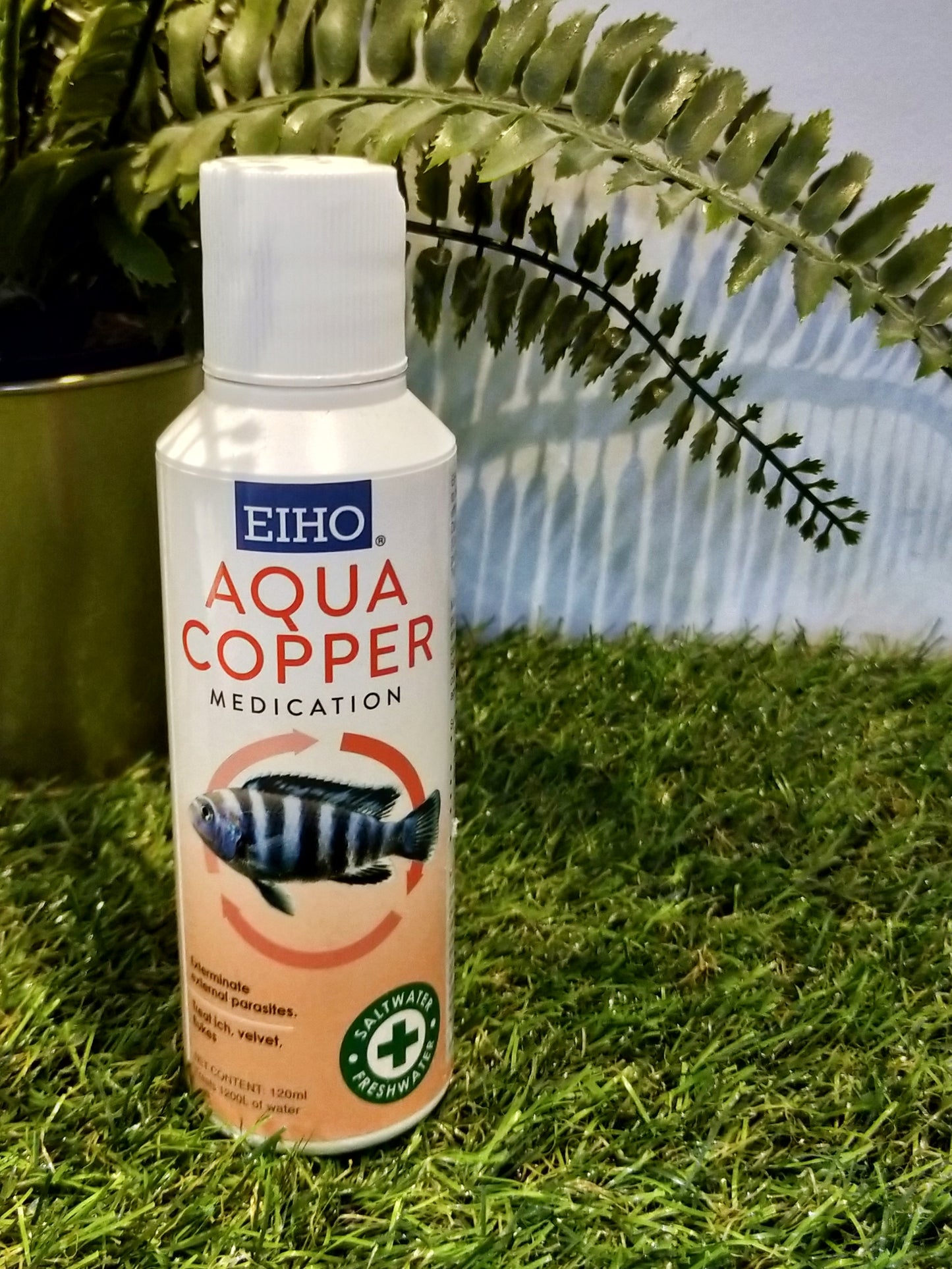 EIHO Aqua Copper