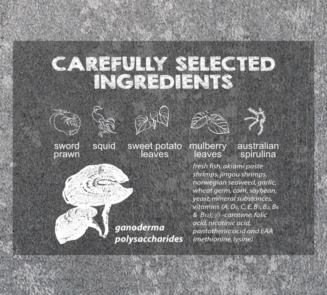 Azoo Ultra Fresh Baby Turtle Nutri Stick