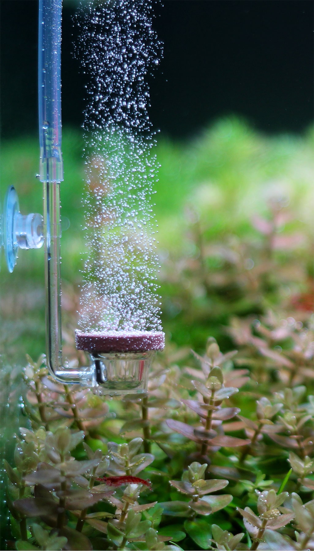 TWINSTAR CO2 Diffuser