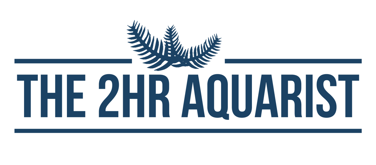 THE 2HR AQUARIST