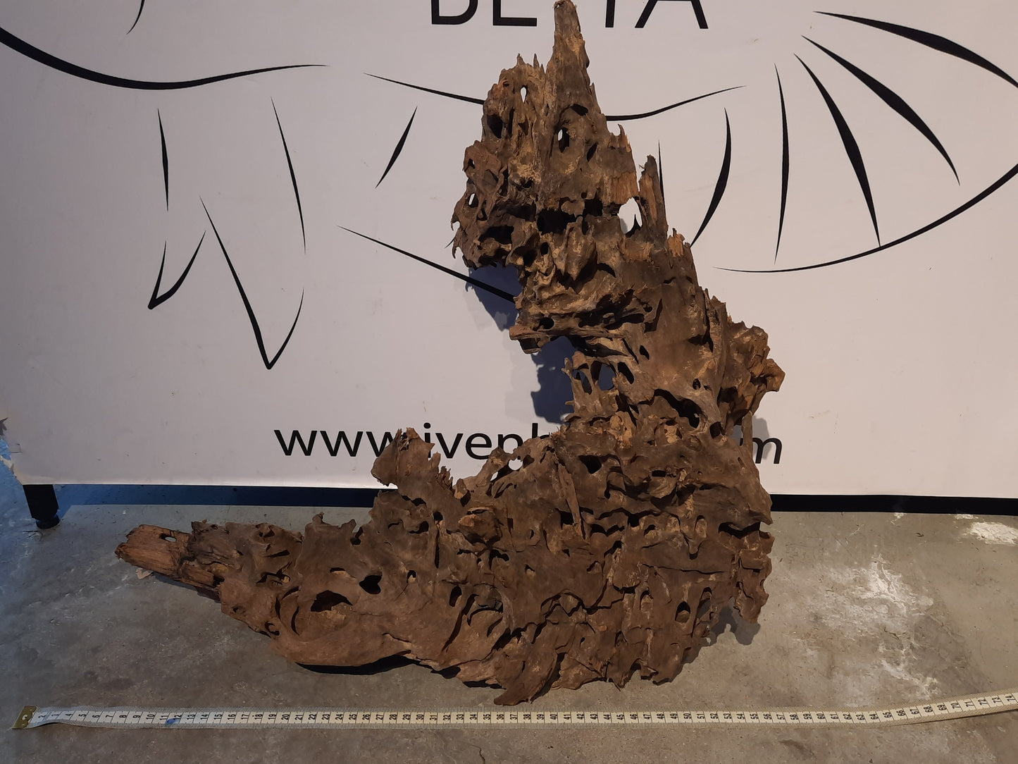 Malaysian Driftwood 'A'