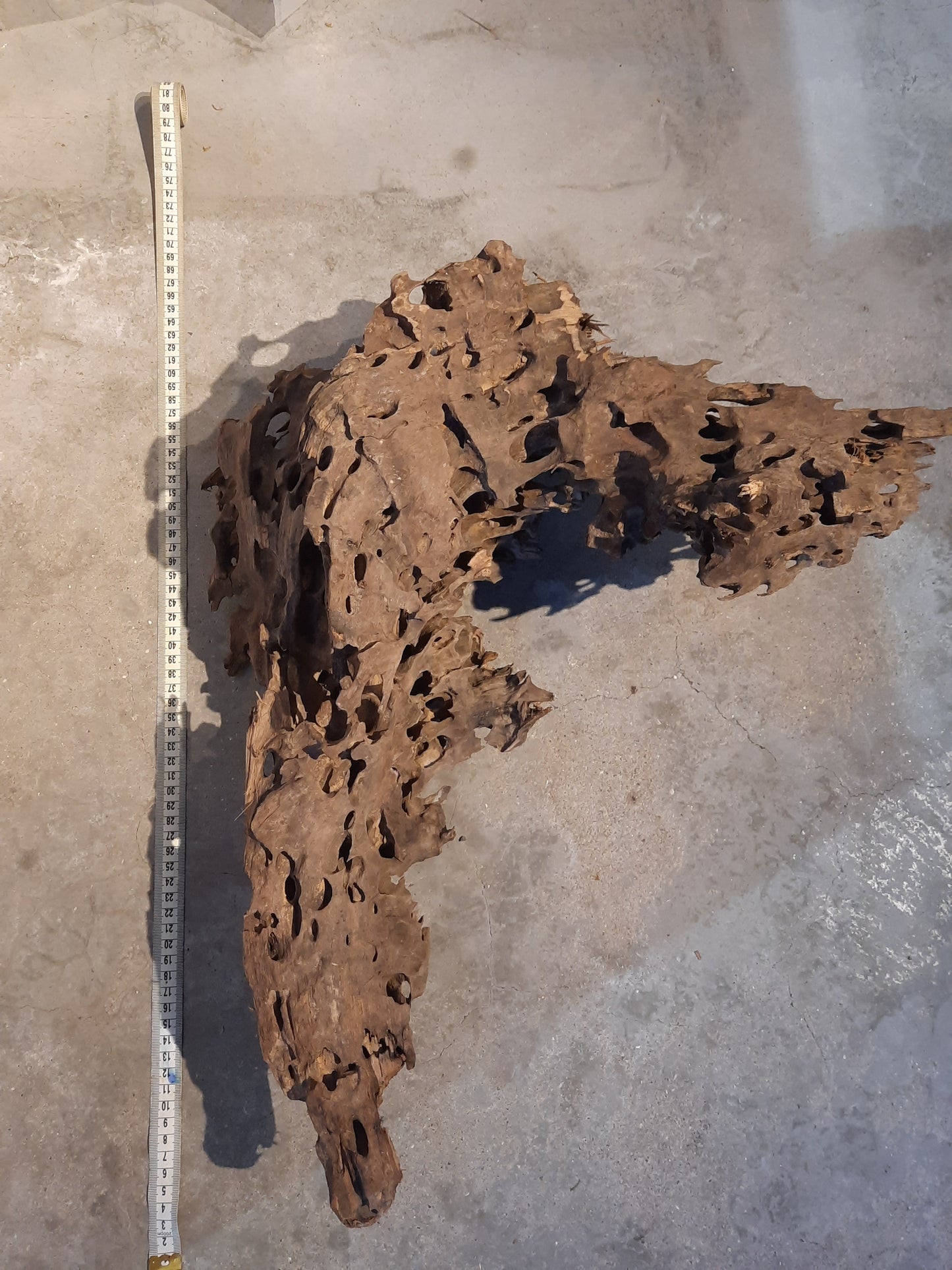 Malaysian Driftwood 'A'