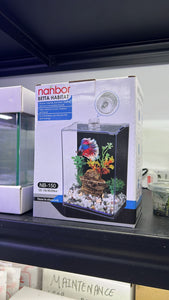 Nanbor Betta Habitat