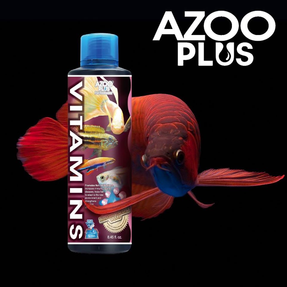 Azoo Plus Vitamins