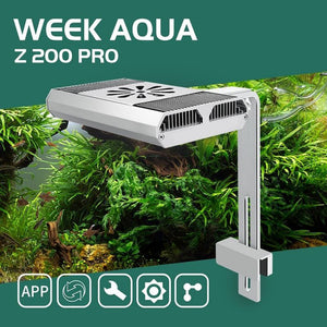 WEEK AQUA Z Series RGB-UV LED Light