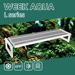 WEEK AQUA L Series RGB-UV LED Light