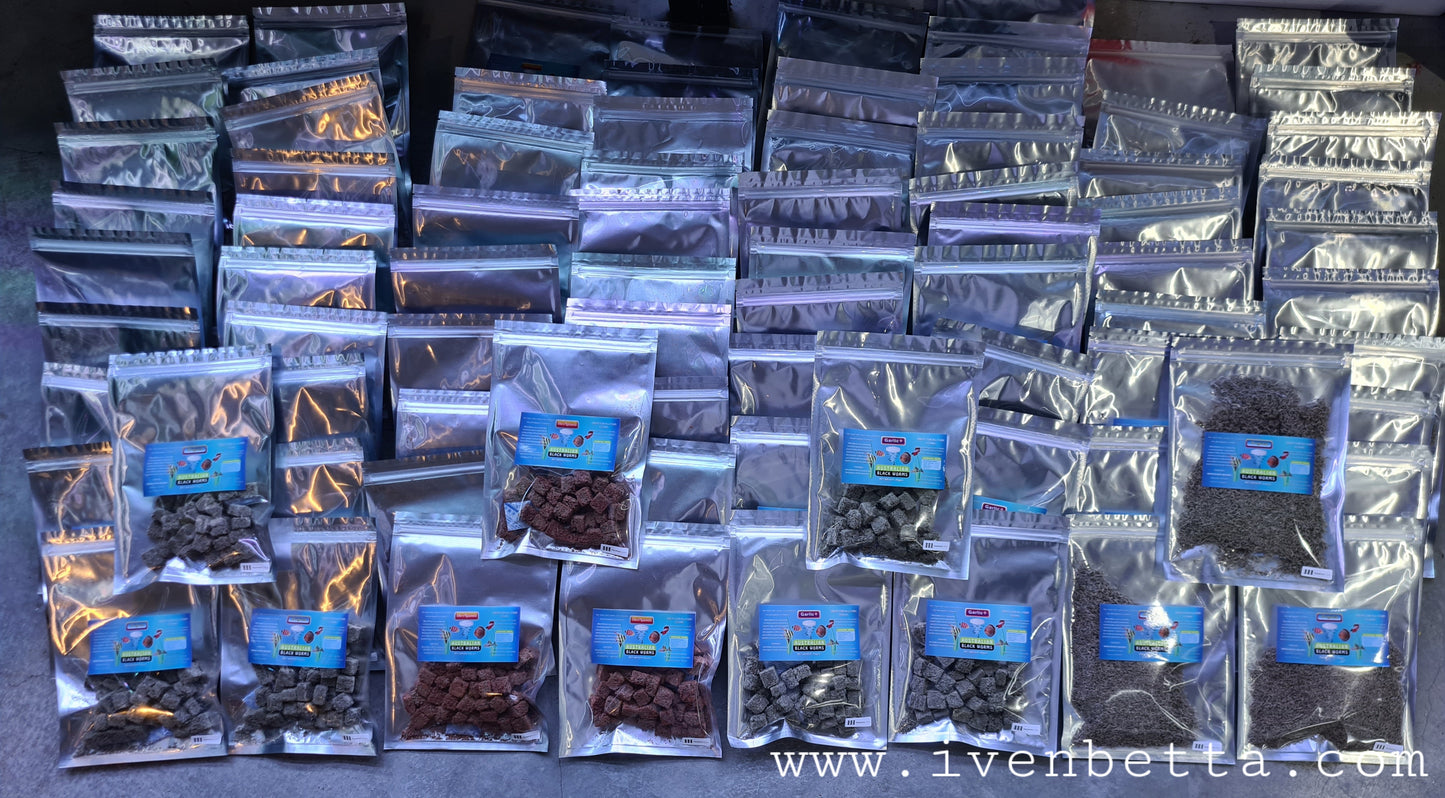 Australian Black Worms - Original (Cube)