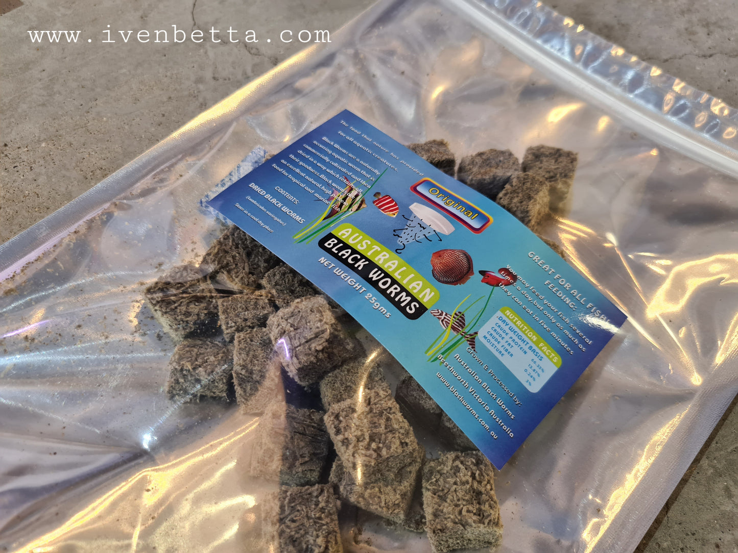 Australian Black Worms - Original (Cube)