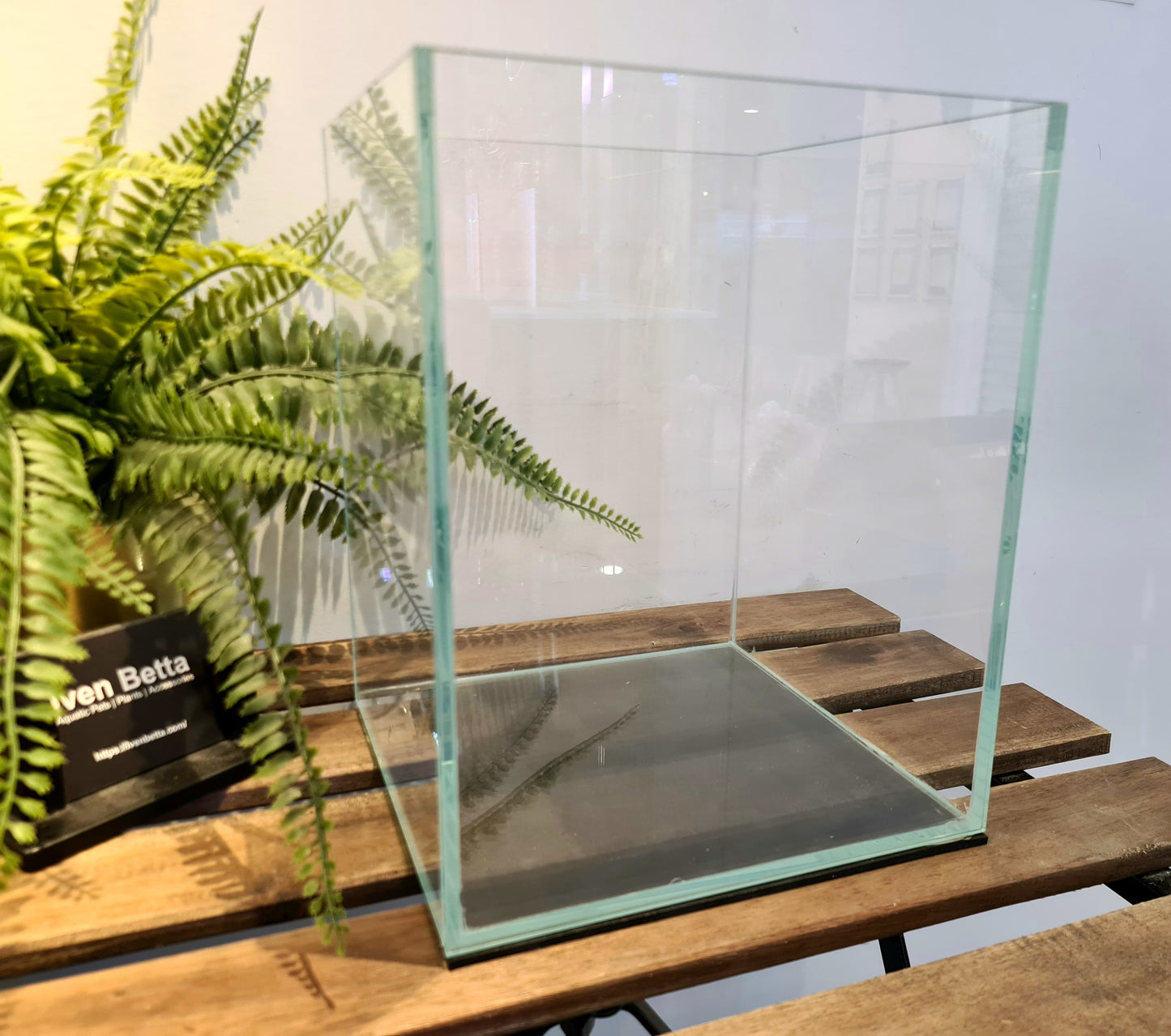 IB AQ - Glass Tank Series