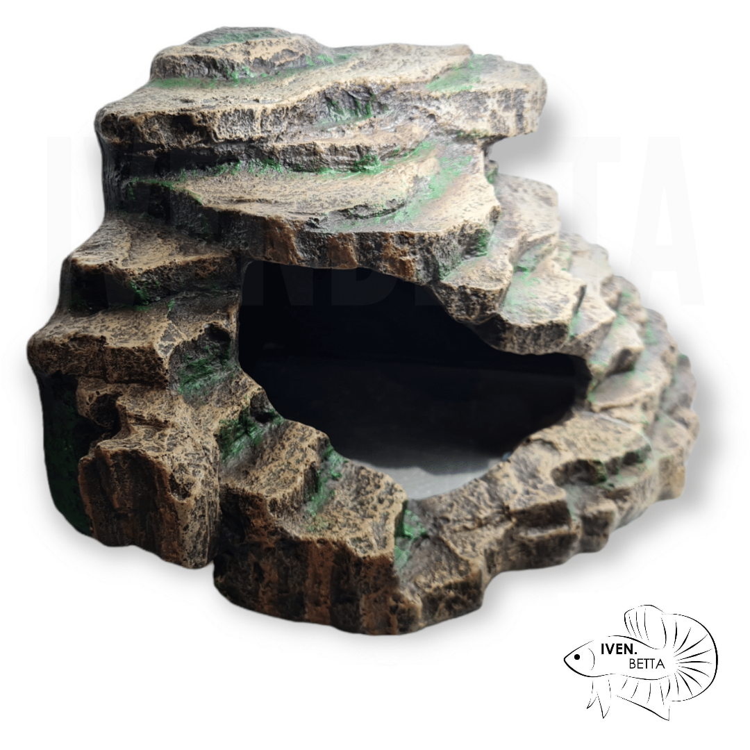 IB AQ - Corner Rocky Platform CH405L