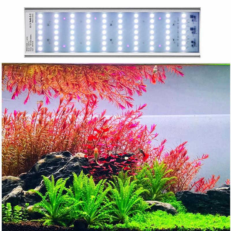 WEEK AQUA L Series RGB-UV LED Light