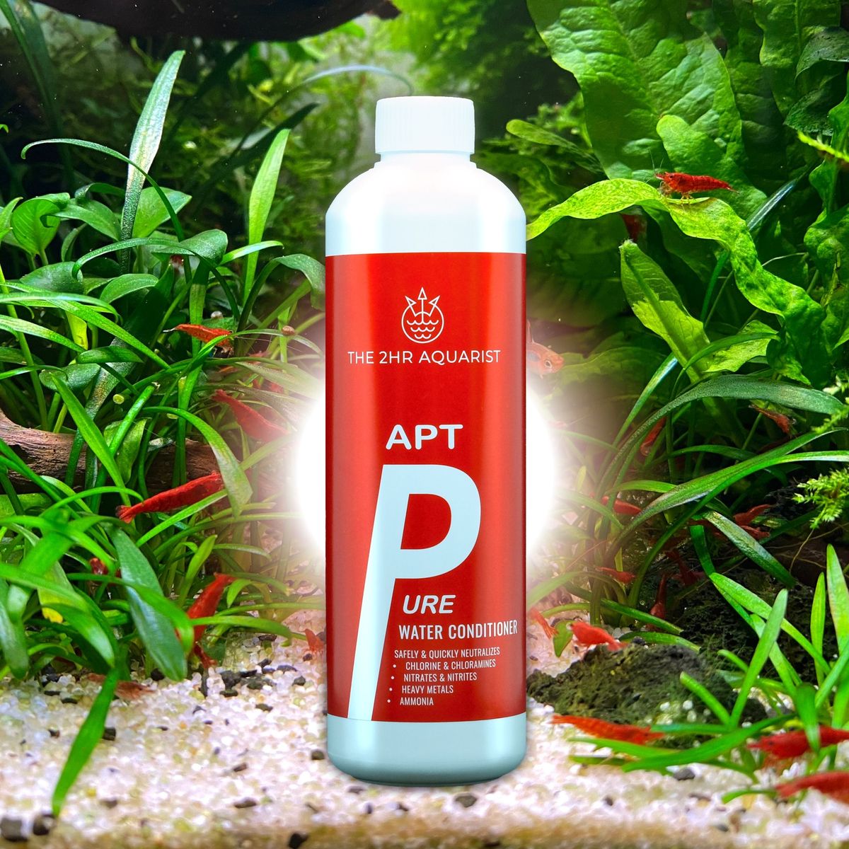 THE 2HR AQUARIST - APT Pure