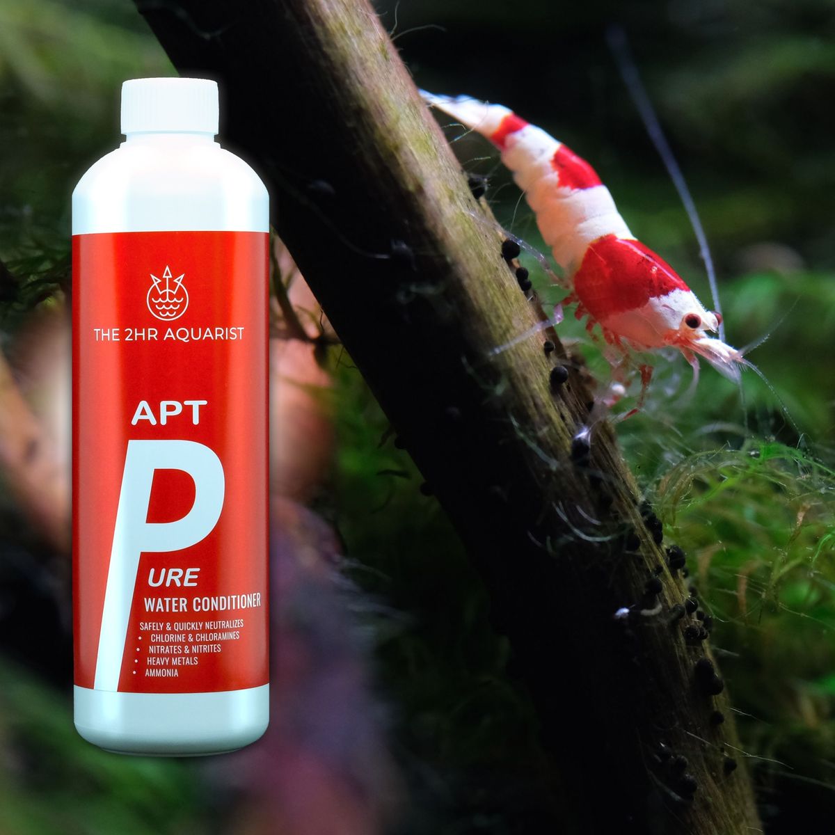 THE 2HR AQUARIST - APT Pure