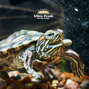 Azoo Ultra Fresh Turtle Nutri Stick