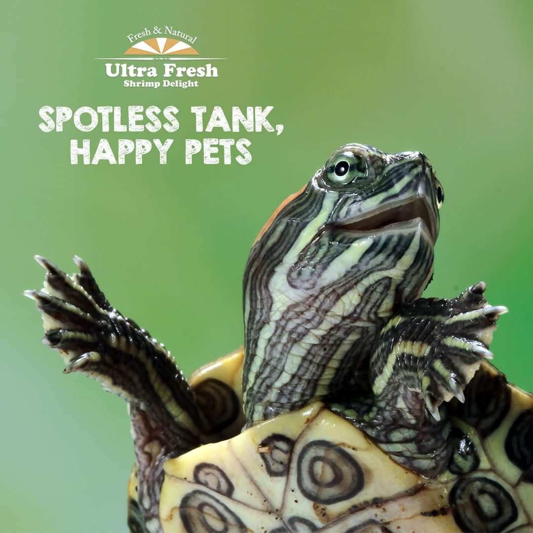 Azoo Ultra Fresh Turtle Nutri Stick