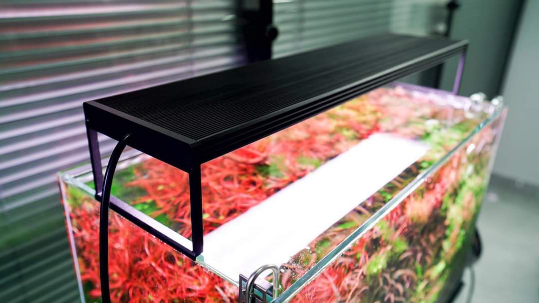 Chihiros WRGBII PRO Series LED Light