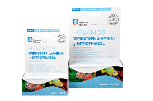 Aquarium Münster HEXAMOR