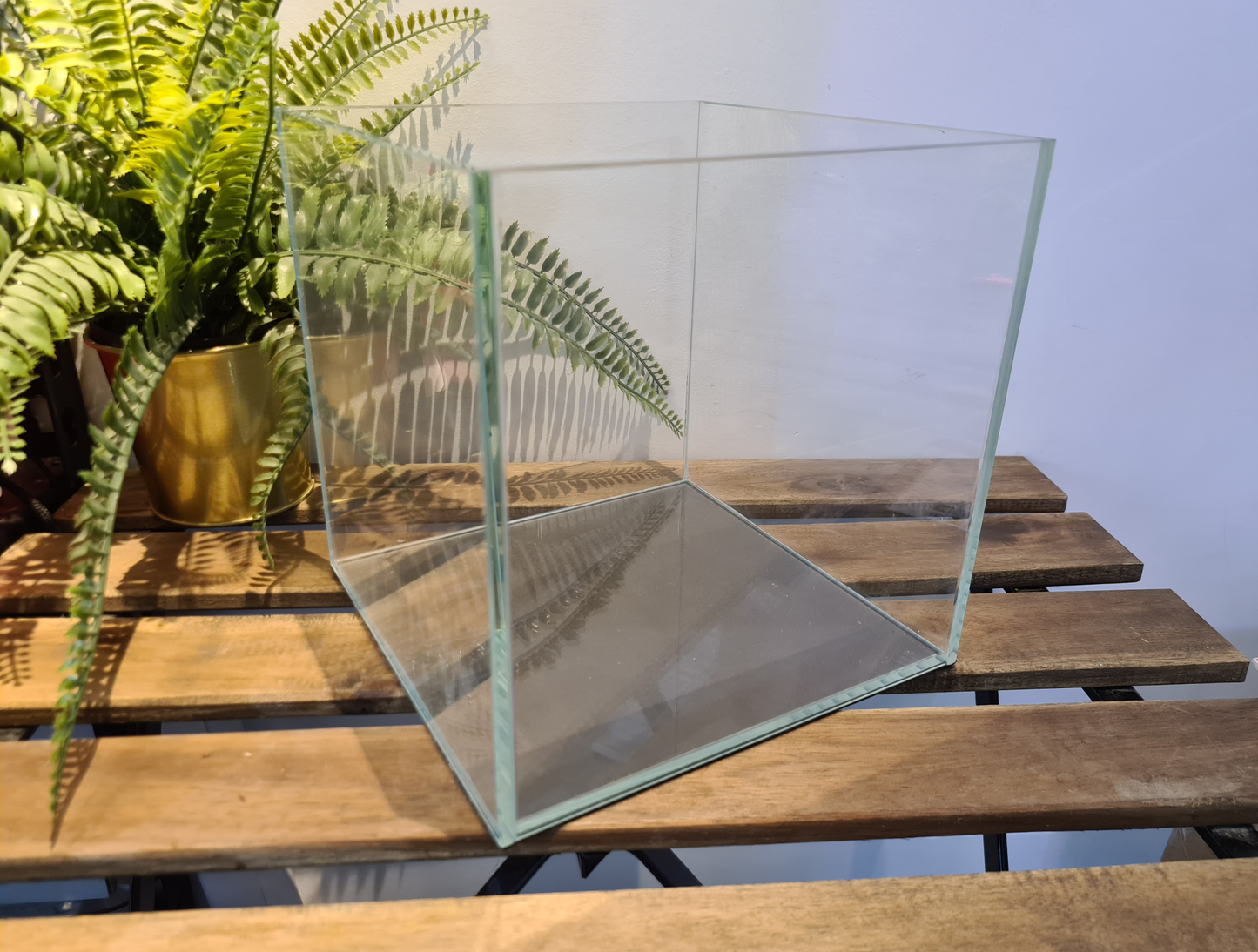 IB AQ - Glass Tank Series