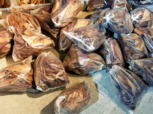 IB AQ - Catappa Leaf (KTP)