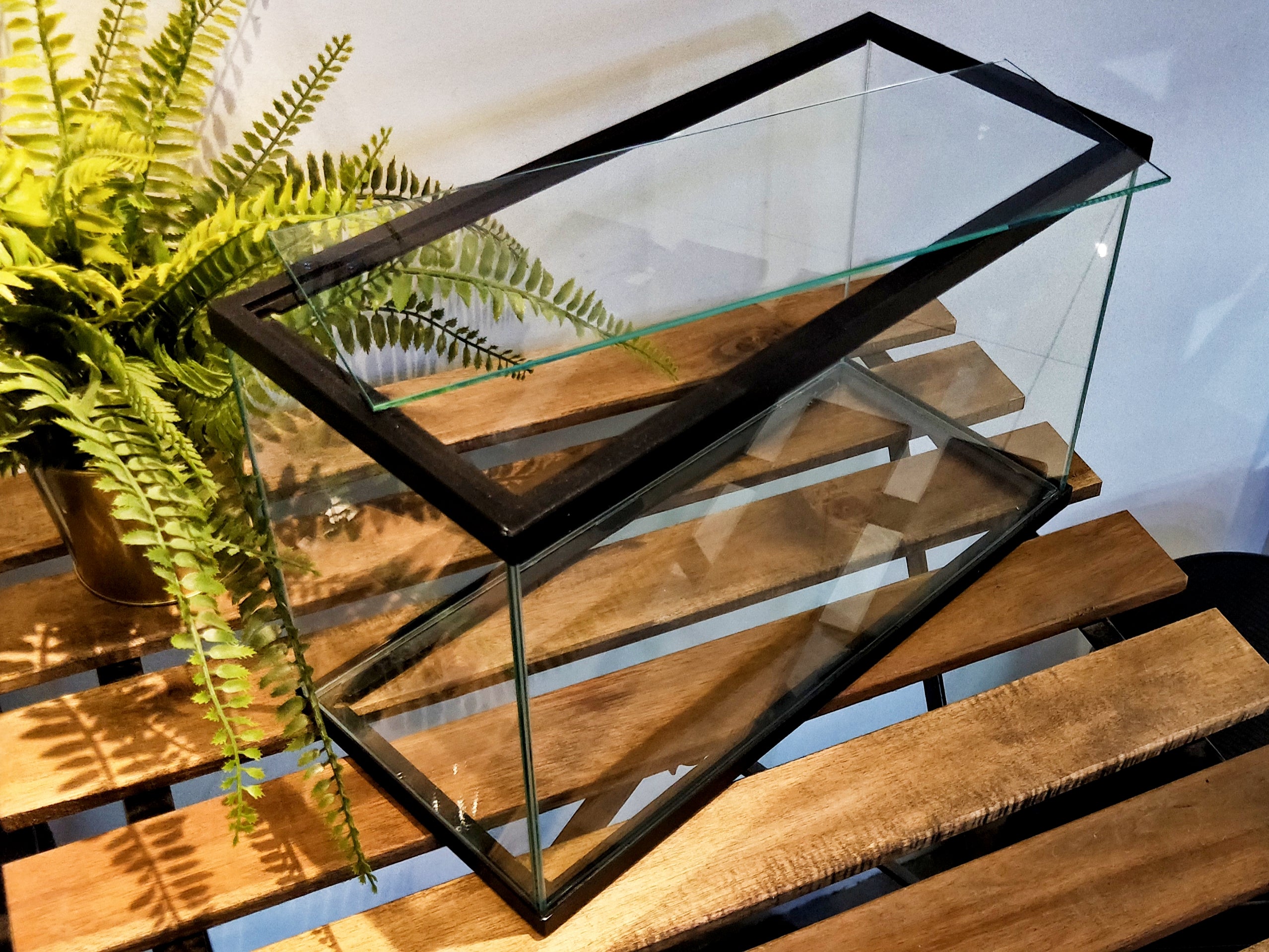 IB Frame Glass Tank