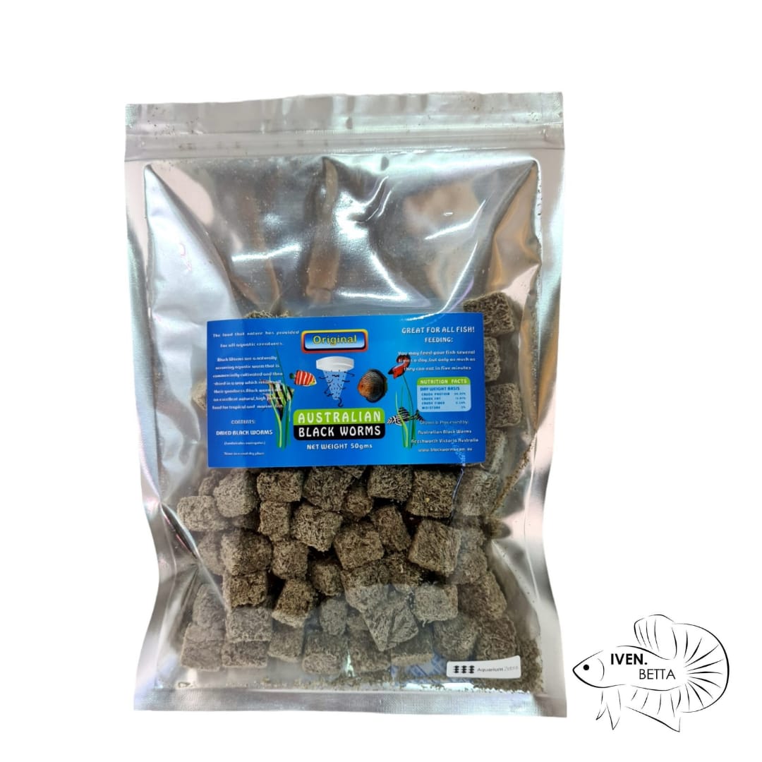 Australian Black Worms - Original (Cube)