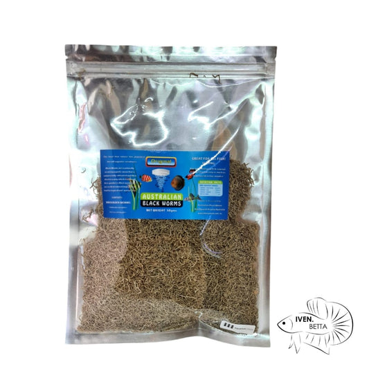 Australian Black Worms - Original (Loose)
