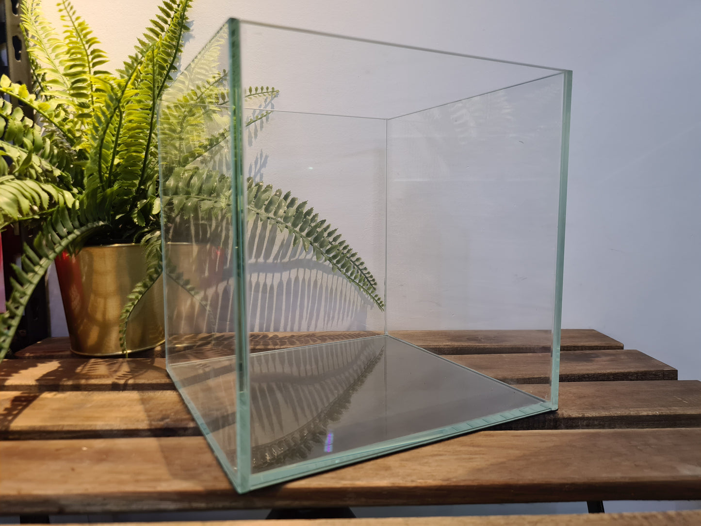 IB AQ - Glass Tank Series