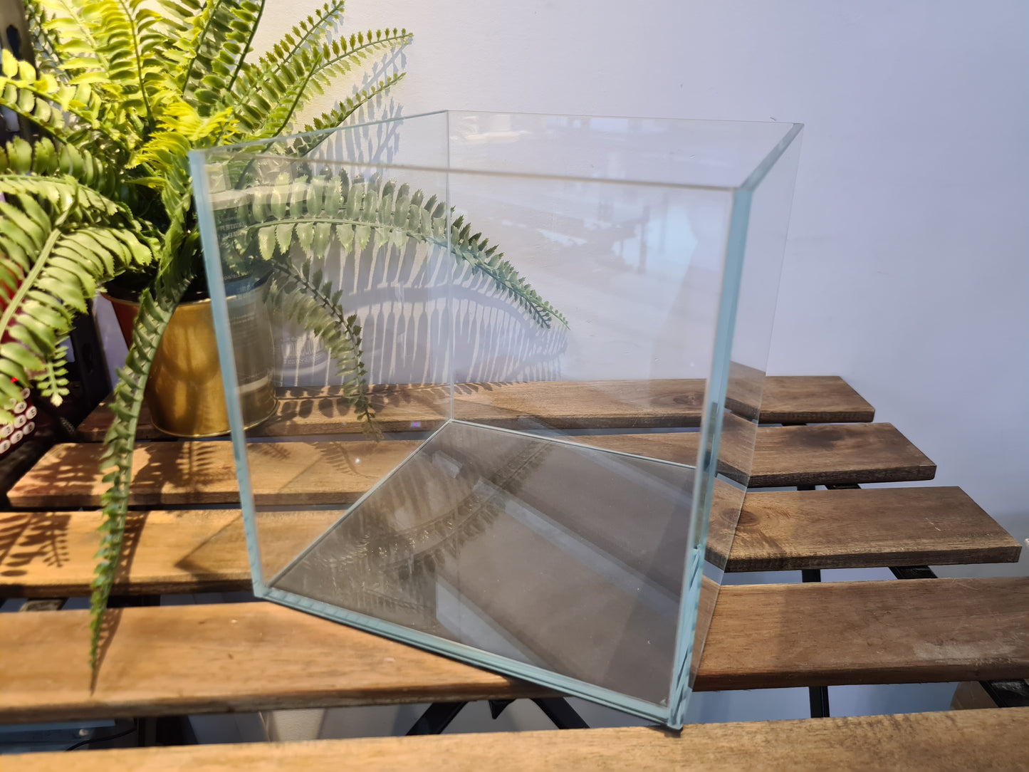 IB AQ - Glass Tank Series