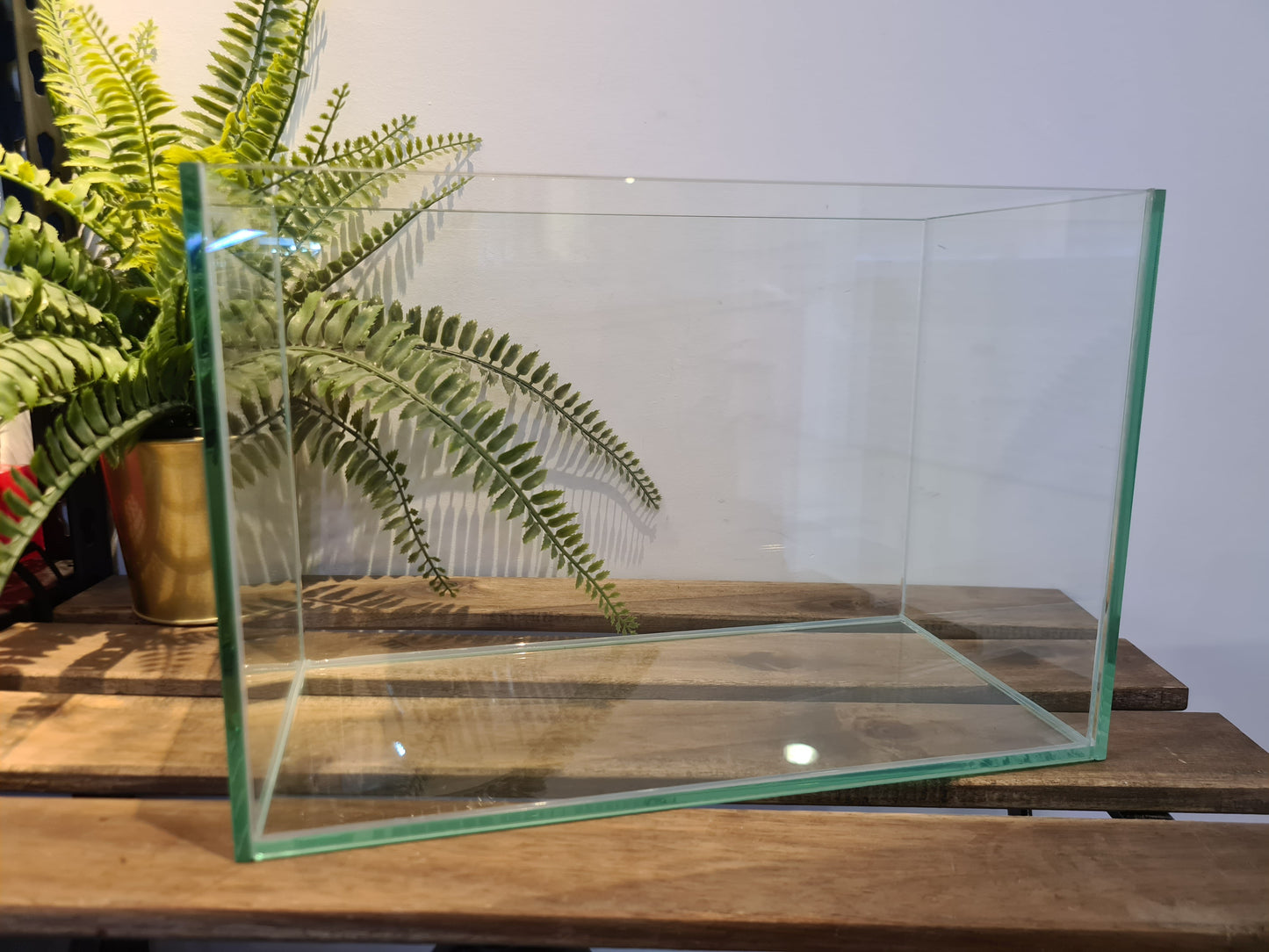 IB AQ - Glass Tank Series