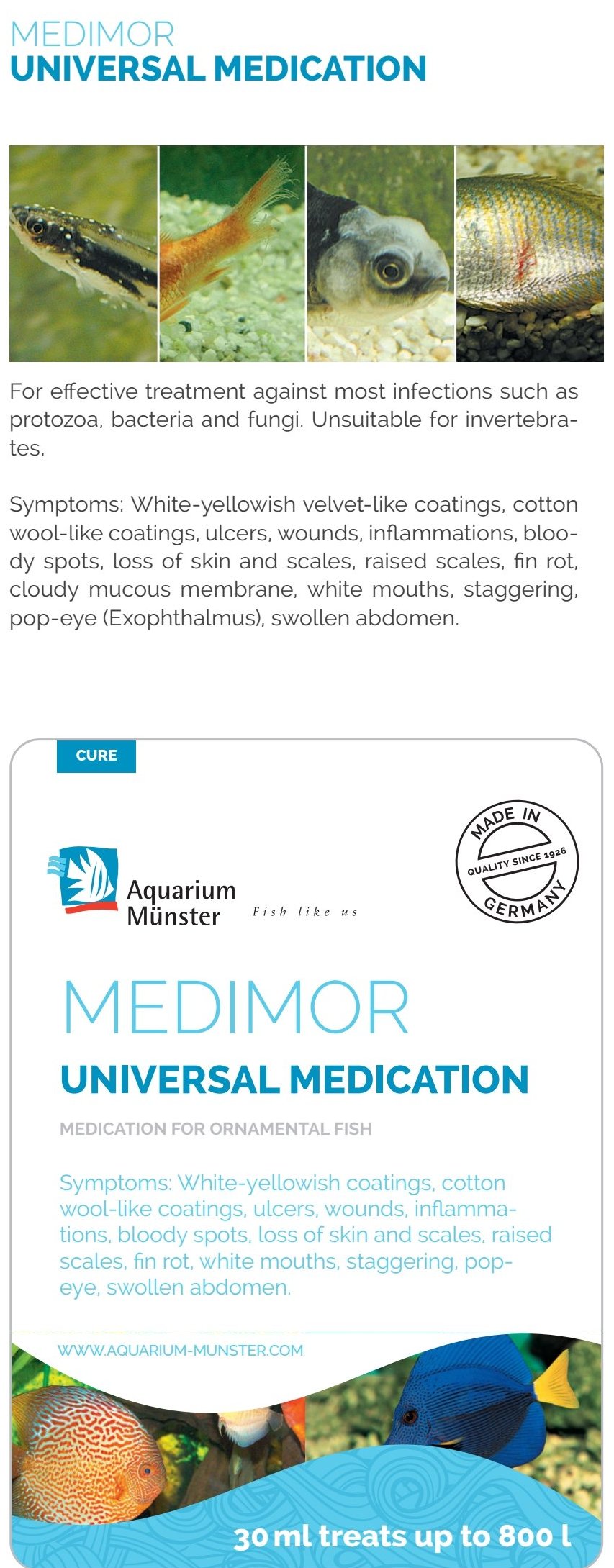 Aquarium Münster MEDIMOR