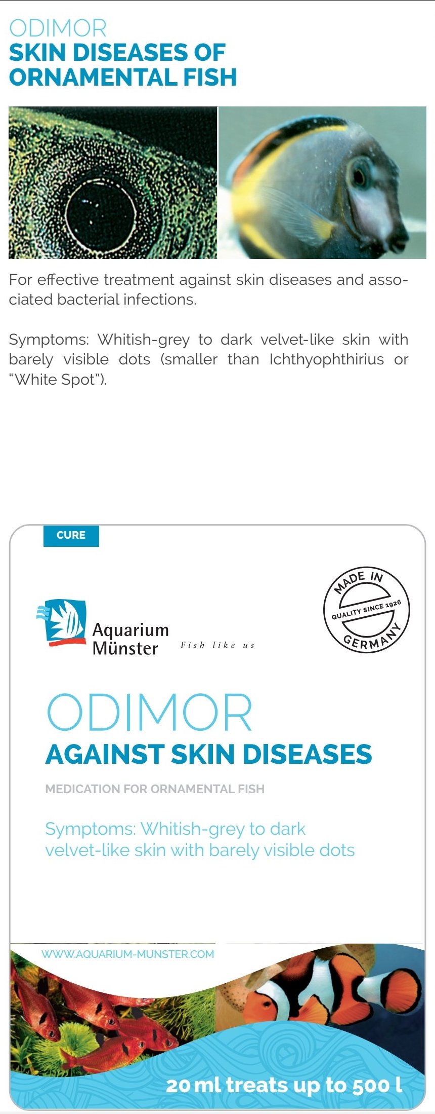 Aquarium Münster ODIMOR