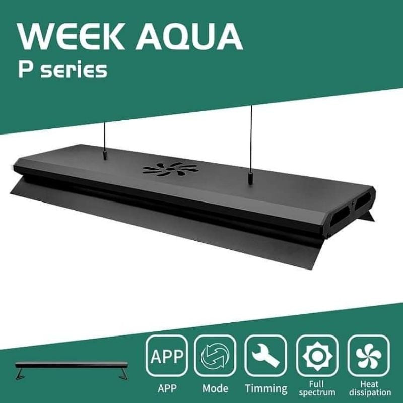 WEEK AQUA P Series RGB-UV LED Light